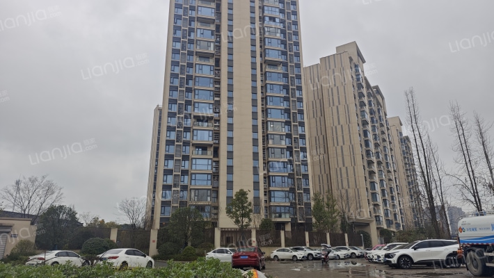 棠湖泊悦西江外景图