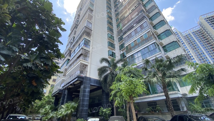 东盛名苑外景图