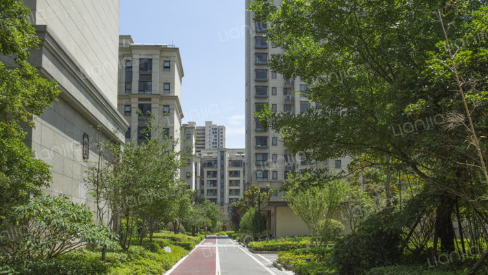 中南熙悦季直里外景图