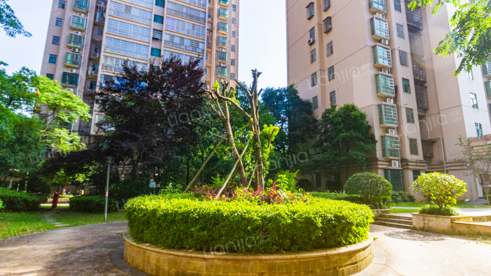 天健东紫门外景图