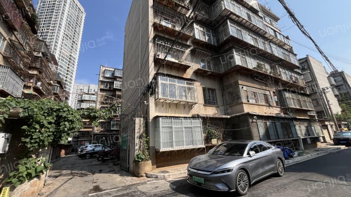 石井路19号外景图