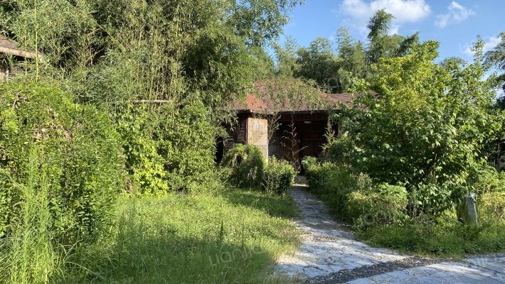 金孔雀汤池别墅外景图