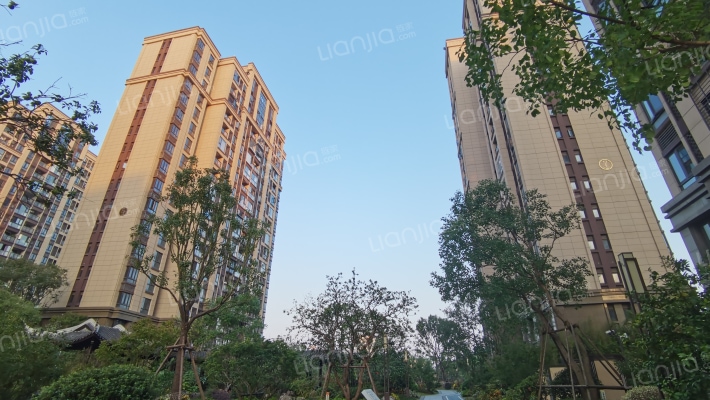 海投自贸国际外景图