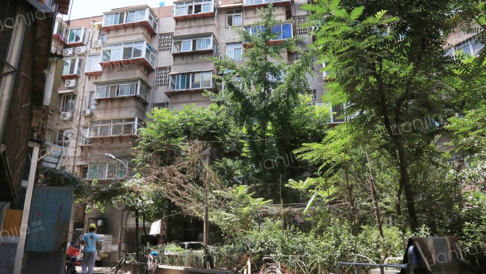 天桥东街外景图