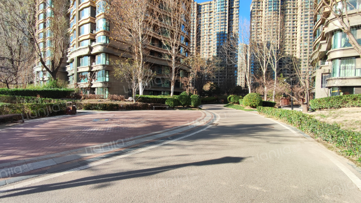 天洋城4代北区外景图