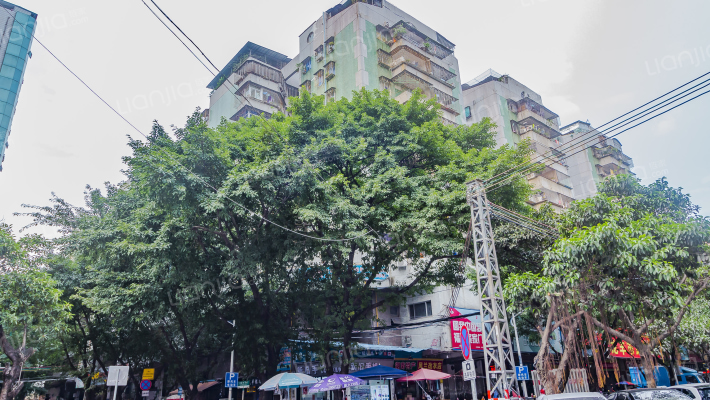 龍豐花園外景图