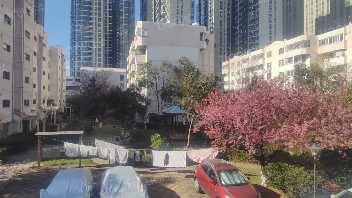 金实小区耀实园外景图