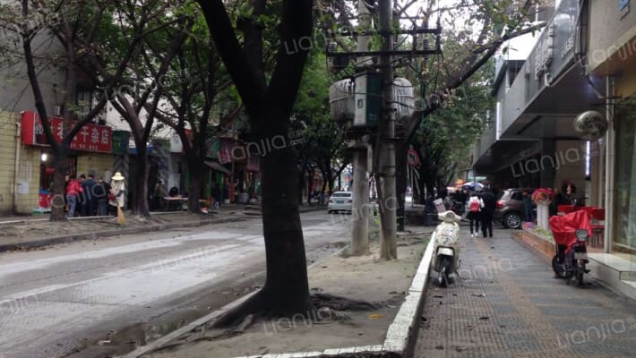 石人东路11号外景图