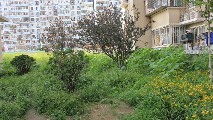 和平里北街甲5号院外景图