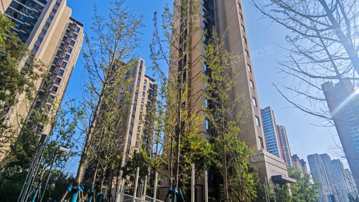 博观星海河海园外景图