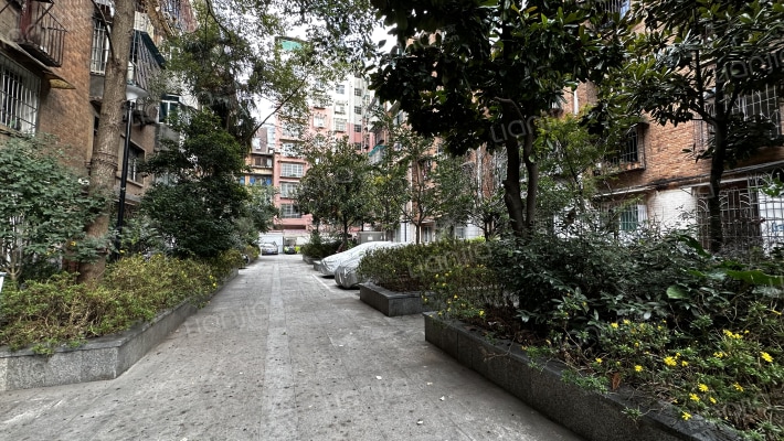 次南巷8号外景图