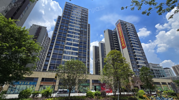 瑞天·莞太印象外景图