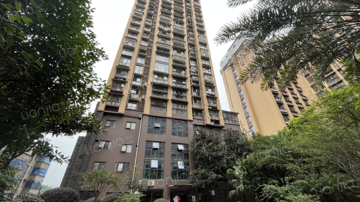 外滩星空外景图