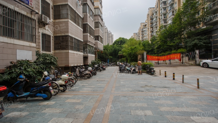 柏果树新寓外景图