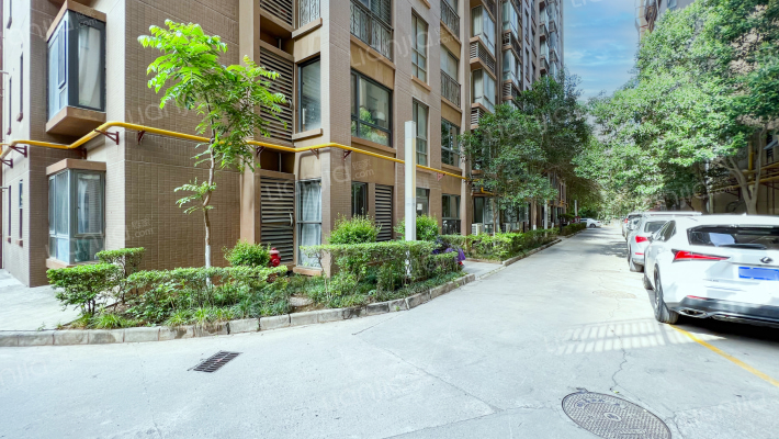 常春藤花园外景图