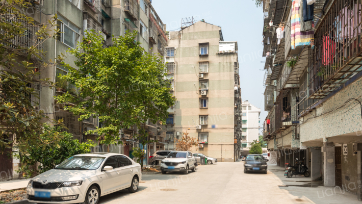 洞桥新村外景图