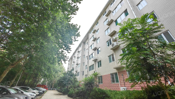 山东医专教职工宿舍外景图