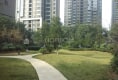龙湖紫都城16