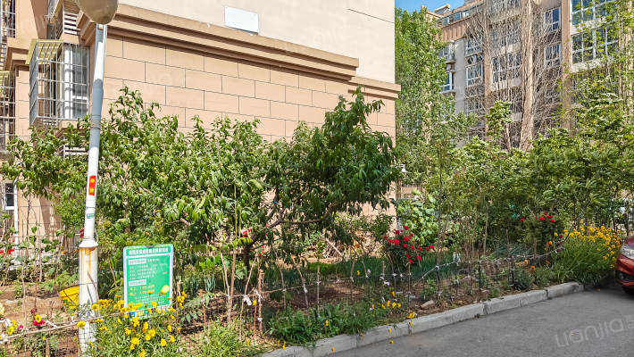 华美·星光花园二期外景图