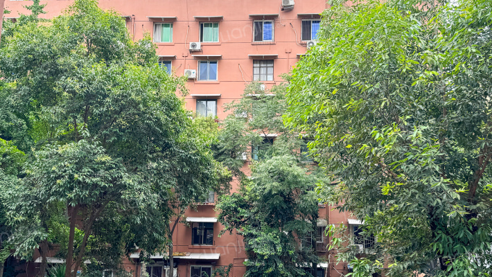 龙江路26号外景图