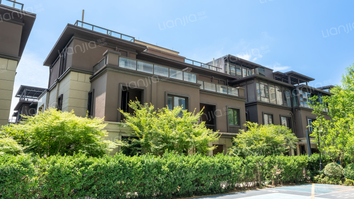 中南紫云集外景图