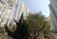 华宇凤凰城23