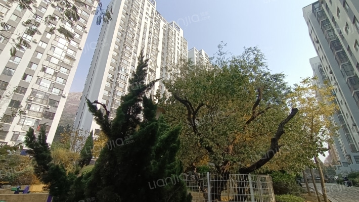 华宇凤凰城外景图