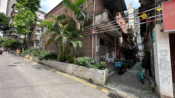 复兴大马路外景图
