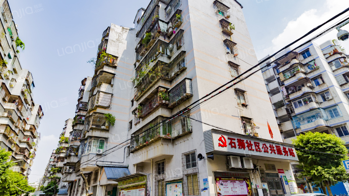 石狮社区外景图