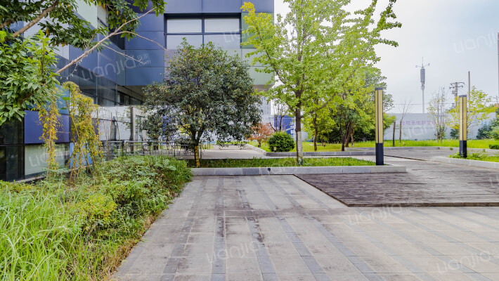 华中智谷外景图