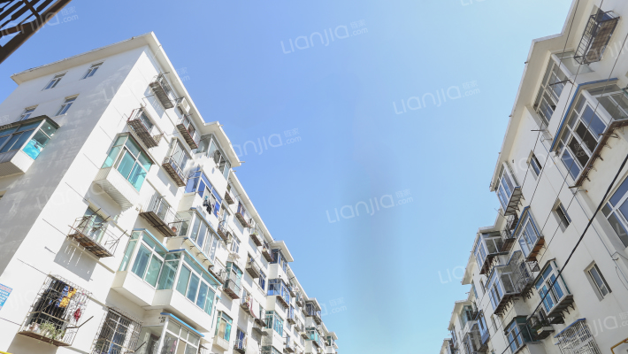 八一花园外景图