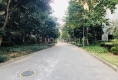 怡翠花园9