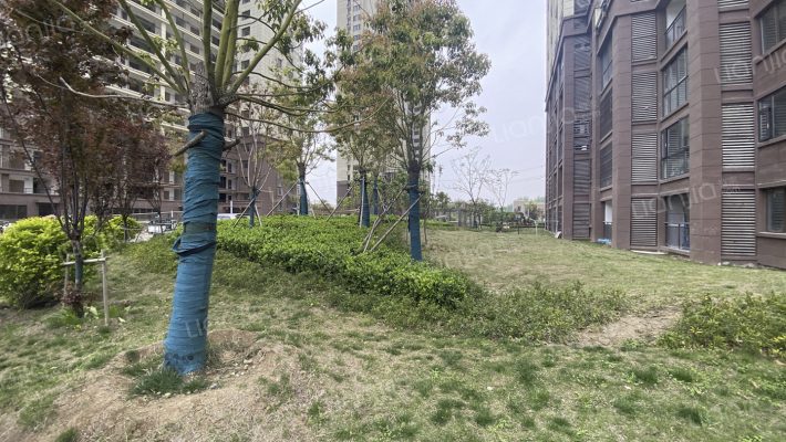 众信新安府外景图