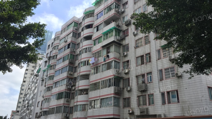 丽景花苑外景图