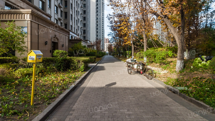 海富金棕榈外景图