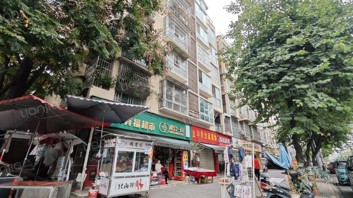 森林阳光外景图