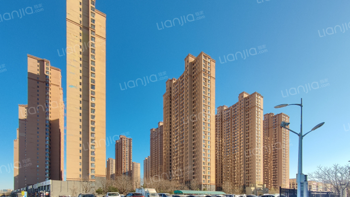 林荫大道外景图