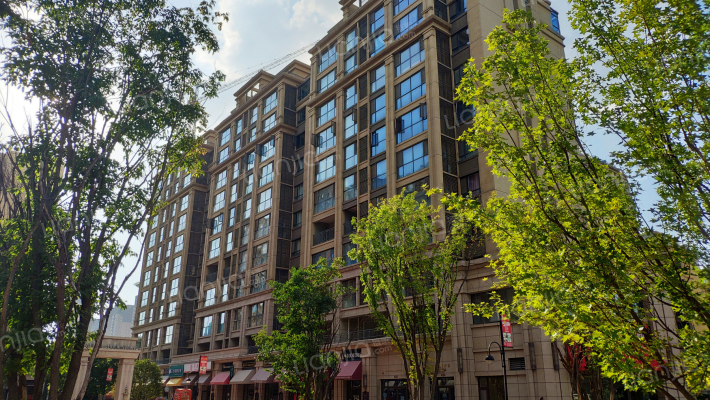 金辉公园里外景图