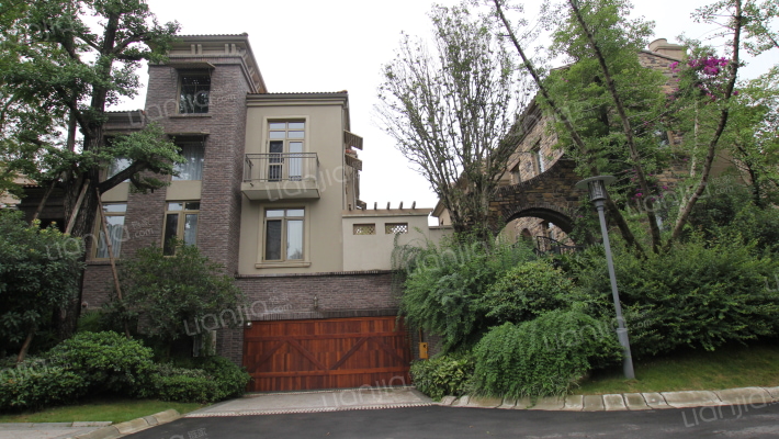 麓山国际悦林湖外景图