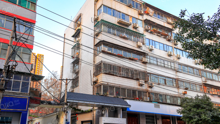 市场南街2号外景图