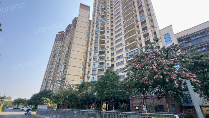 中荟城星品苑外景图