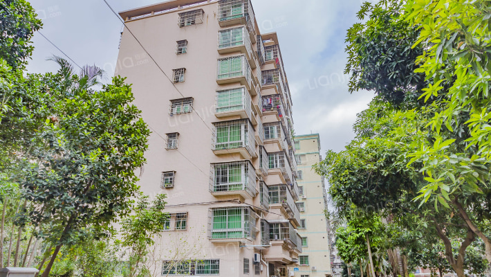 龙珠花园外景图