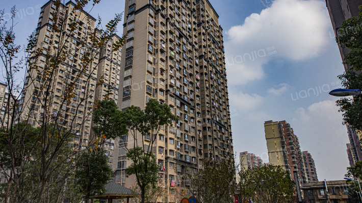 淮肥佳苑兴华苑D区外景图