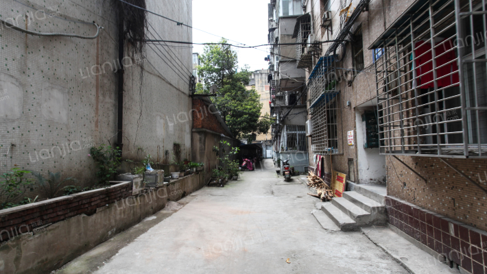 文星大道88号外景图