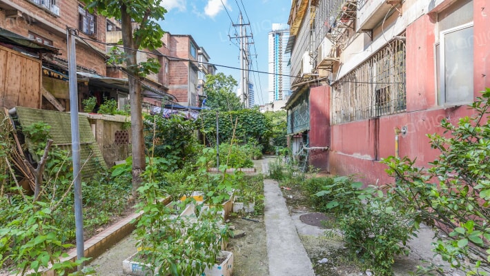 地矿小区外景图