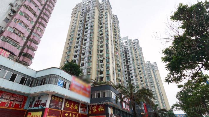 今日丽舍外景图