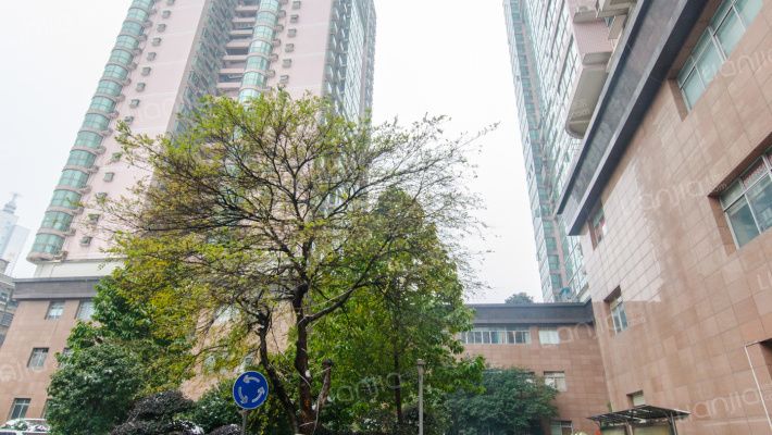 桐荫里小区外景图