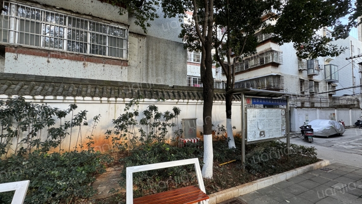 青年路111号外景图