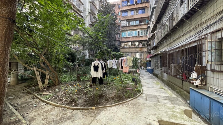 慈庵巷49-50号外景图