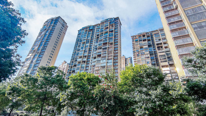 香江国际外景图